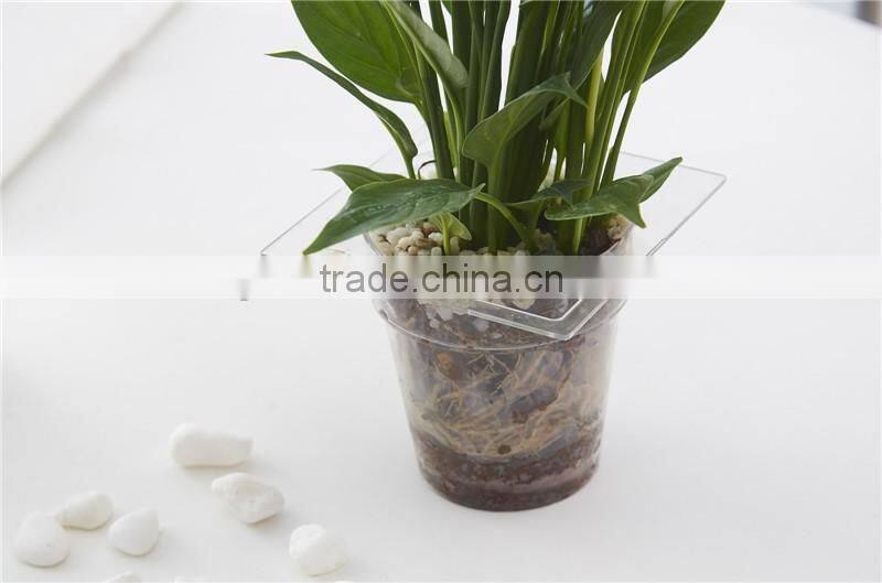 Round Clear Plastic Orchid Pot