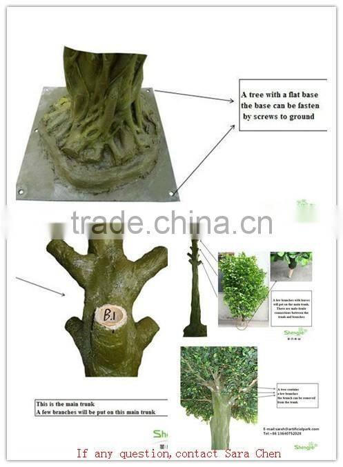 SJ2001022 Small potted foliage banyan tree landscaping decoraative garden tree