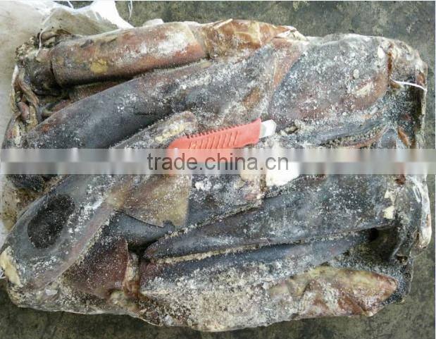 peru squid style fish scale