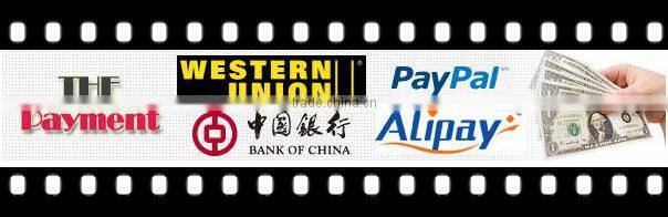 HC172-0014 New Fasion 6" Beautiful Candle Christmas Crown