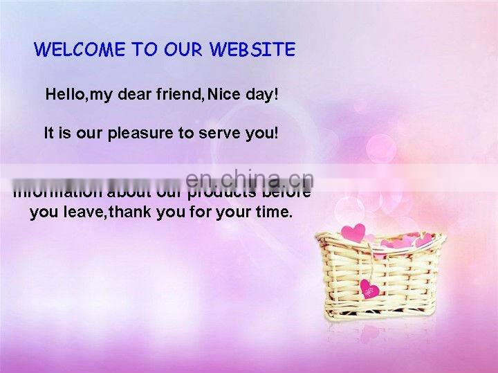 cool DIY Polyester Body Cape Flag