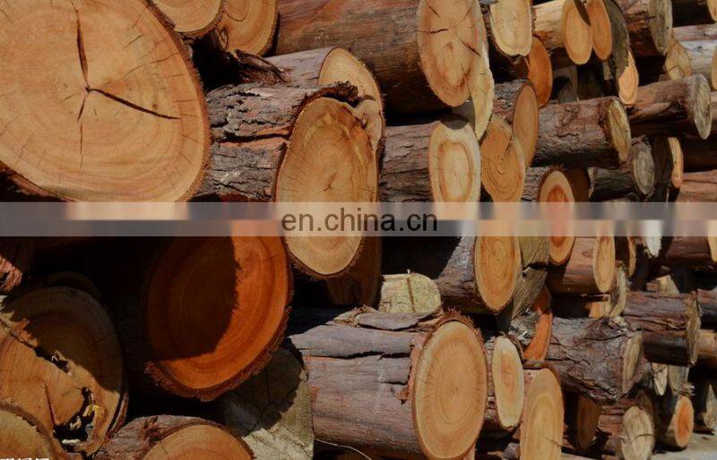 QUALITY ASSURED professional precise log sliding table saw machine for sale