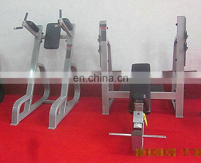 Professional Precor Fitness Exercise Machine Vertical Knees UP/DiP In Gym SP34