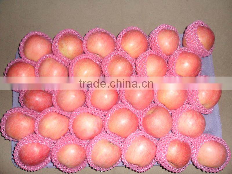 Best price bulk Yantai red Fuji apple fruit