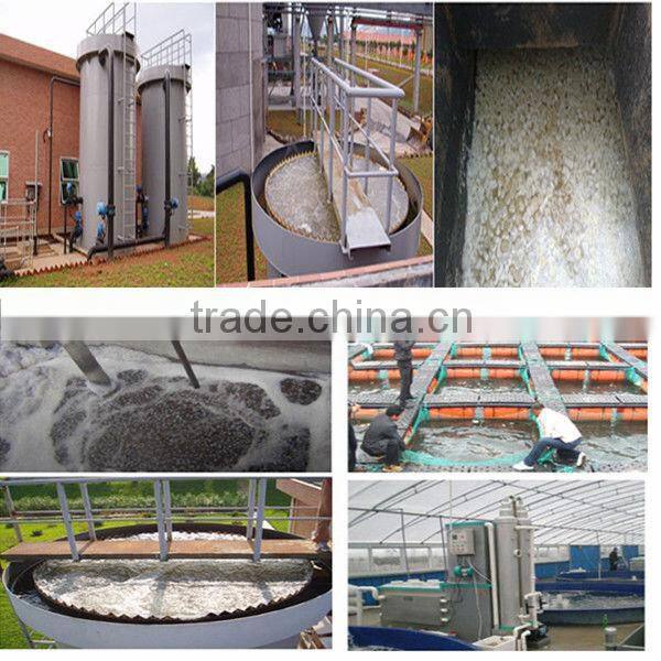 plastic body/tank plastic body model plastic body suit