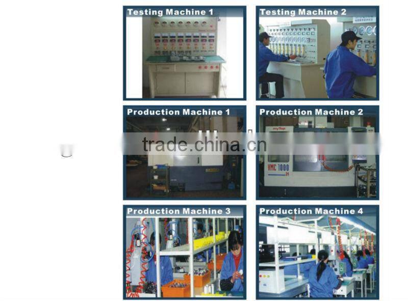 High performance Guaranteed Electric fuel pump for PEUGEOT206 0580 464 001