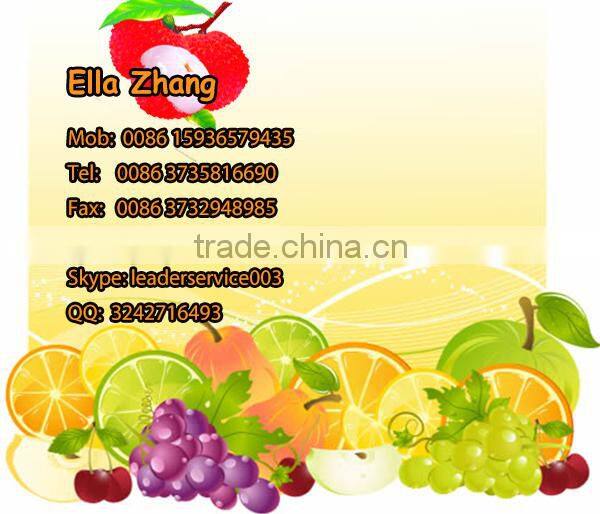 Leader low price kiwi washing and peeling machine for food processing