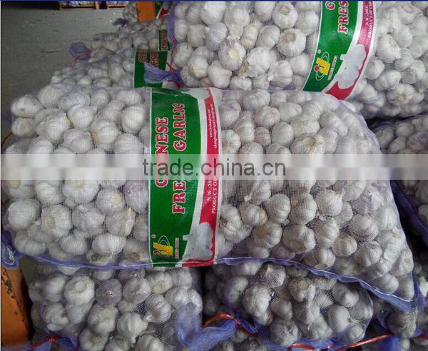 We can supply fresh garlic/ginger/potato/onion/chilli