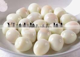 canned quail eggs/eggs/quail eggs