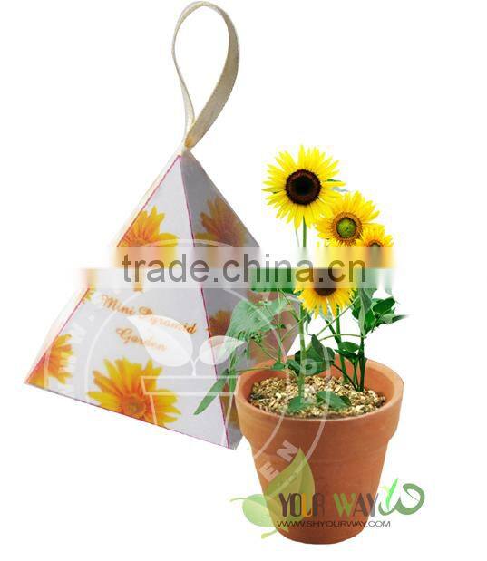 Mini Pyramid Garden, Flower Garden,Sunflower