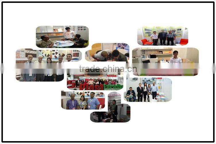 Hot Foil film hot stamping pvc ceiling pvc panel for inroom decoration