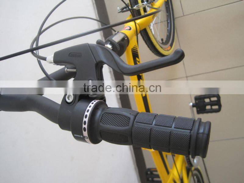 20 inch 7 Speed Steel Folding Bike