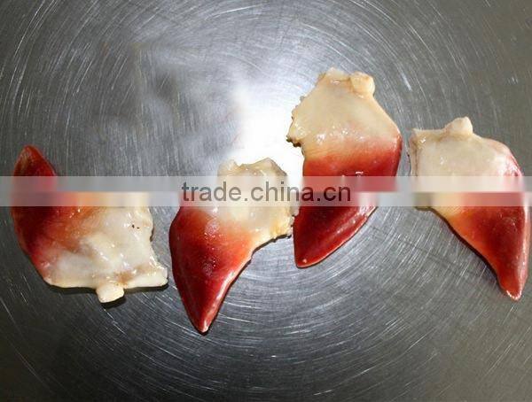 frozen arctic surf clam edge