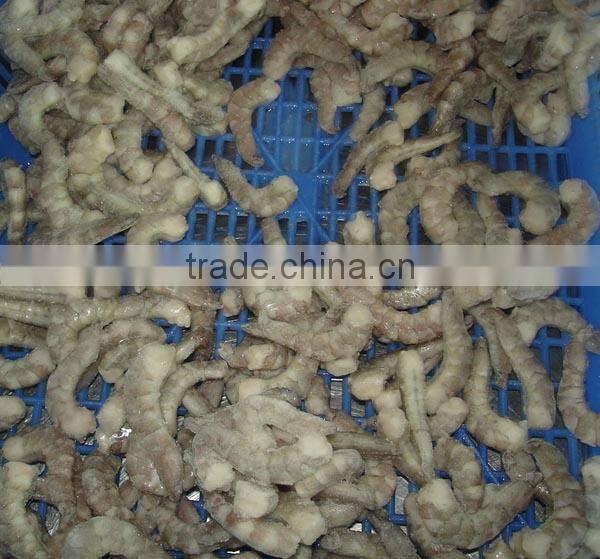 Frozen cooked vannamei shrimp