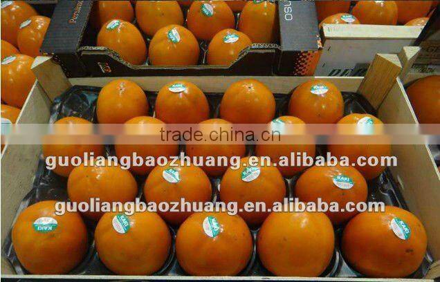 Divided Perforated Pad For Fruit &Vegetable