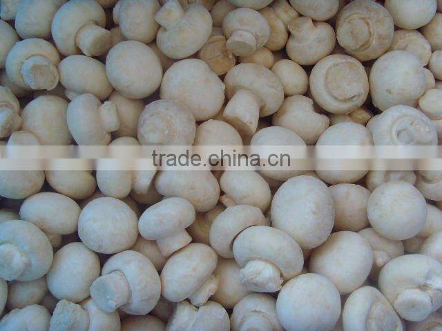 Whole Frozen Champignon Mushrooms Supplier