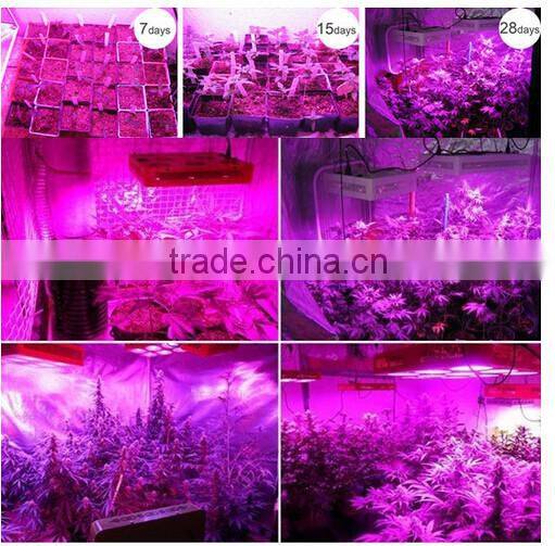 3W E27 2Red 1Blue LED Grow Light Bulb Energy Saving Flower Plant Hydroponics Indoor Vegetable Greenhouse Grow Lamp AC85-265V