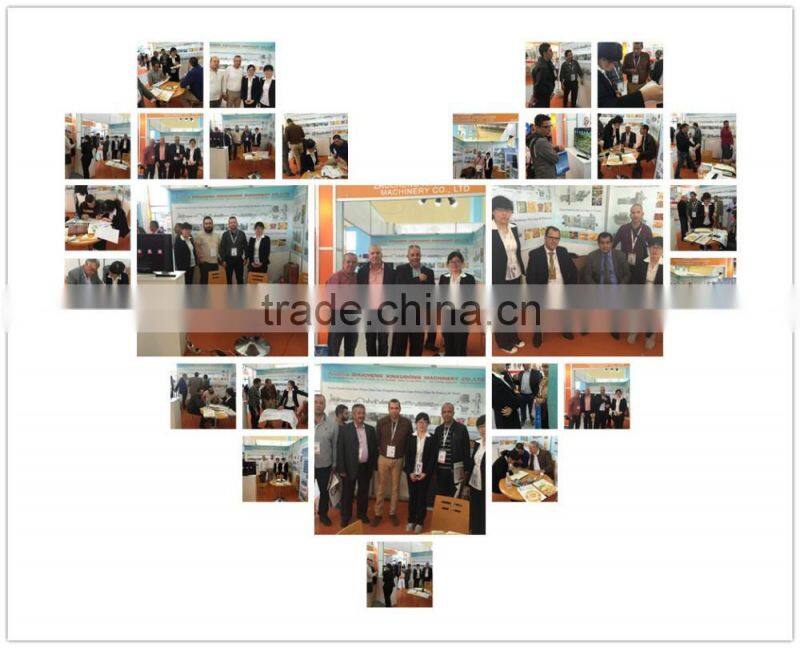 Hot sale high quality frozen french fries produciton line/potato chips production line