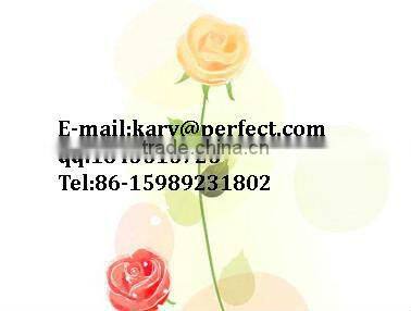 Fanshionable jewelry holder