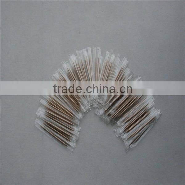 Plastic Tube Packing Mint Bulk Bamboo Toothpicks