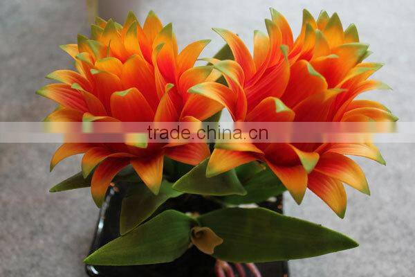 Artificial coated Phalaenopsis Orchids bonsai