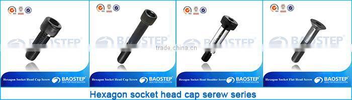 high tensile hot galvanizing thru bolt