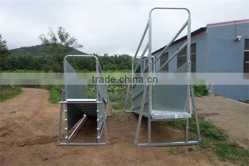 good selling animal loading ramps for cattle sheep and goat