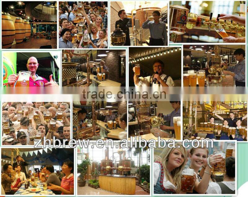 500L micro stainless steel brewery equipment CE