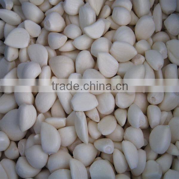 Wholesale for frozen garlic dices in China