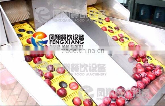 Plum Pitting Pitter Stoner Machine