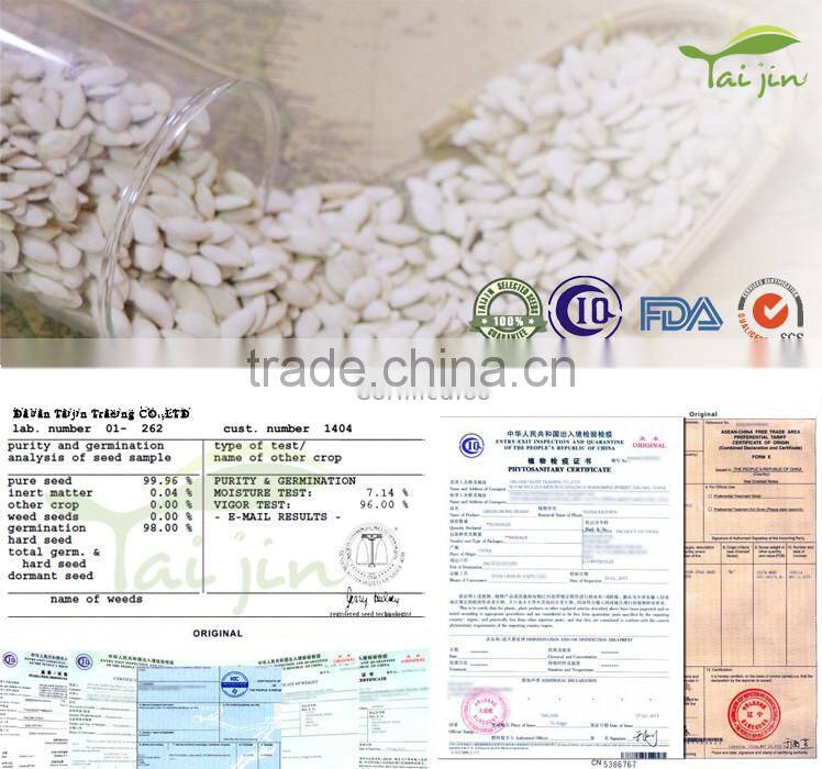 inner mongolia best quality snow white pumpkin seed