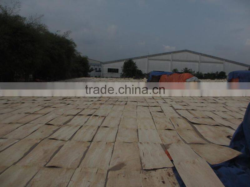 Competitive price 12% of Moisture Acacia Core Veneer