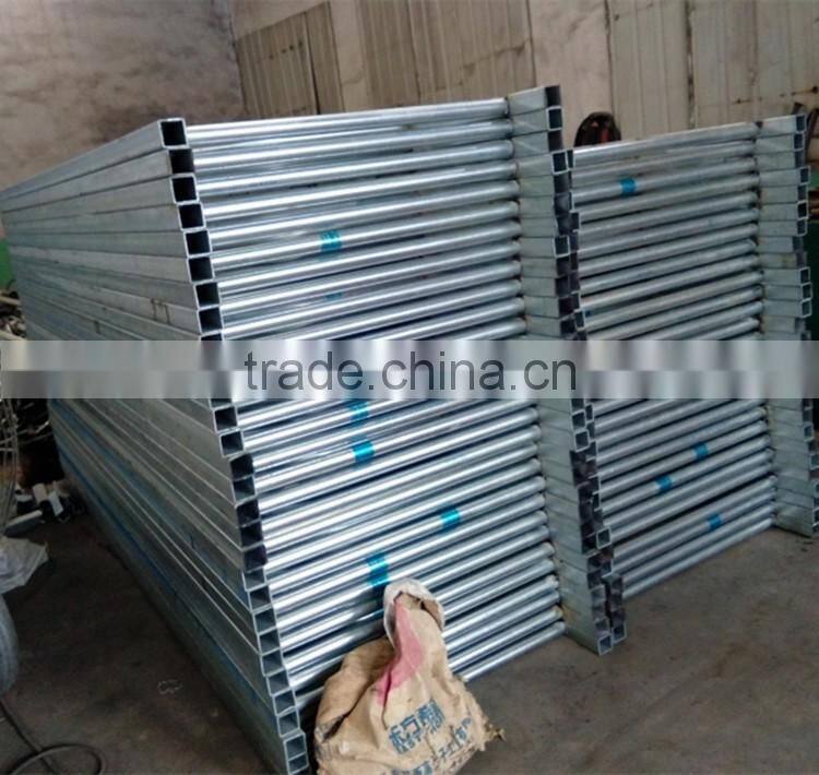 Cattle Head Lock for Dairy Farm