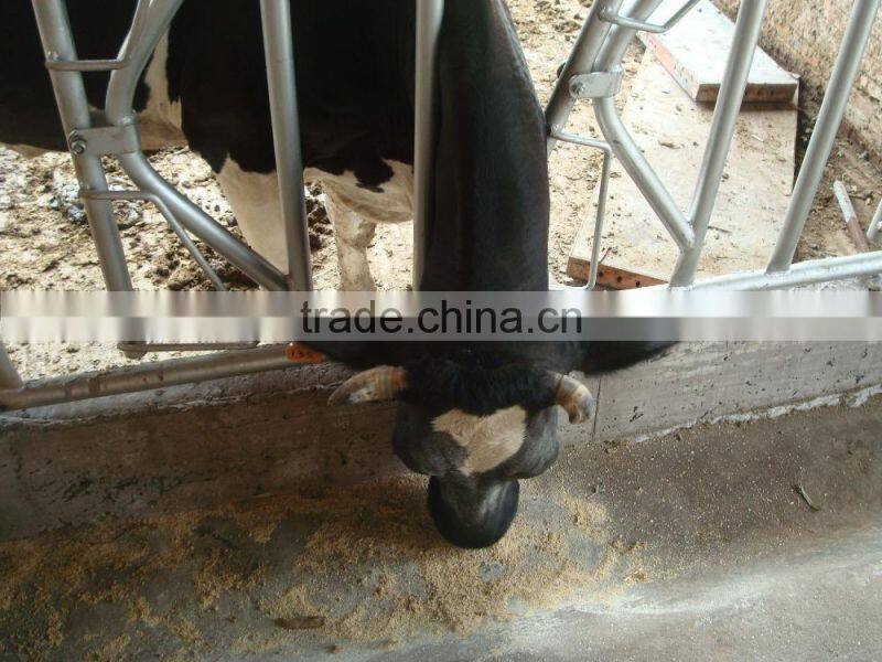 Hot Dipped Galvanized Fencing Panels for Head Locking