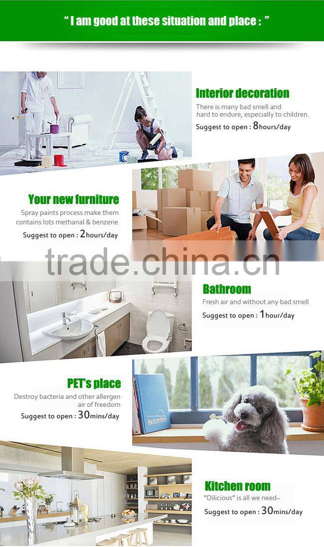 CE 2g portable ozonator for home, ozonizer O3