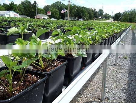 Greenhouse dutch bucket For Drip Irrigation System