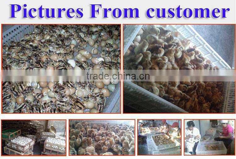 New material 528 chicken eggs automatic egg incubator,chicken egg incubator for hatching 528eggs