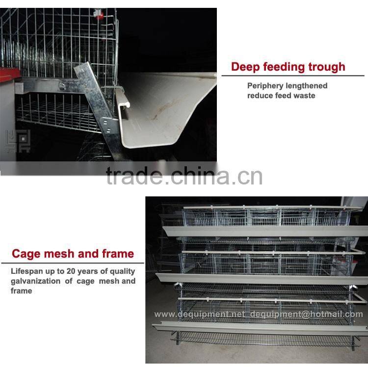 20 years lifespan A type of poultry egg chicken layer cage price