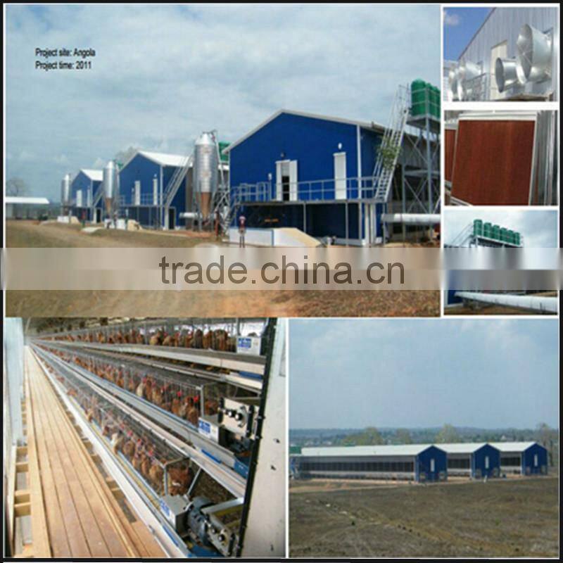 High quality Poultry Broiler and layer house