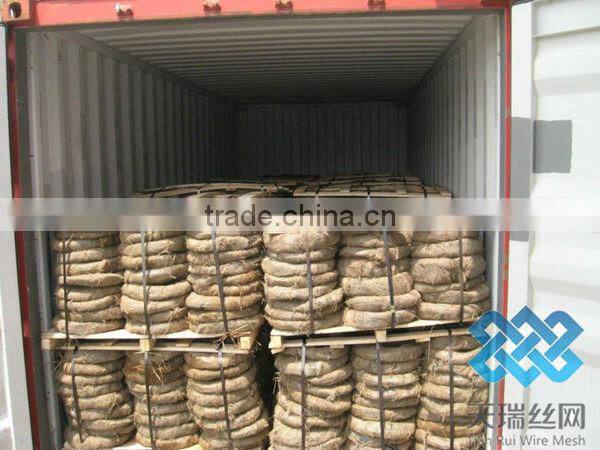 electro galvanized soft iron wire/Hot dipped galvanized iron wire