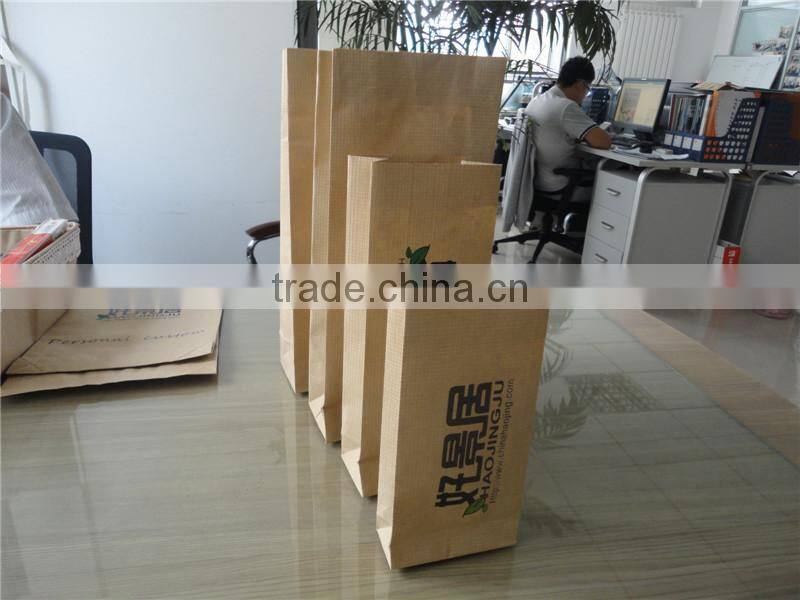 Elegant Custom Printing Promotional Paper Bag with Cotton Handle