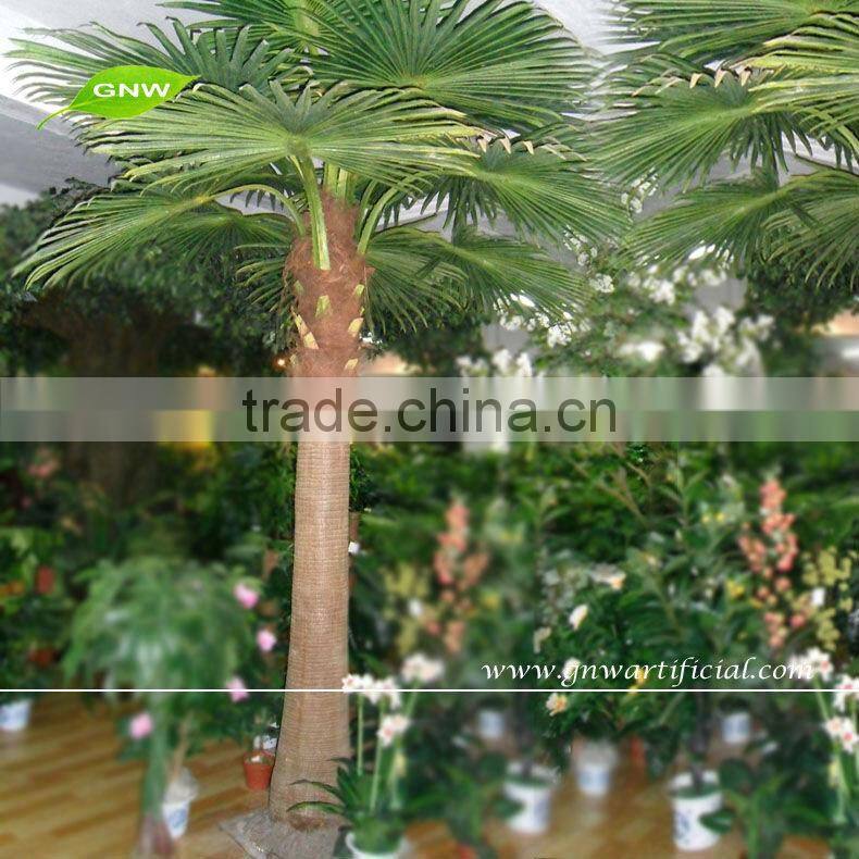 APM045 GNW Indoor Palm Trees 12ft High