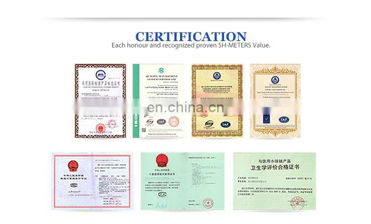 Lora remote reading smart AMR water meter wifi