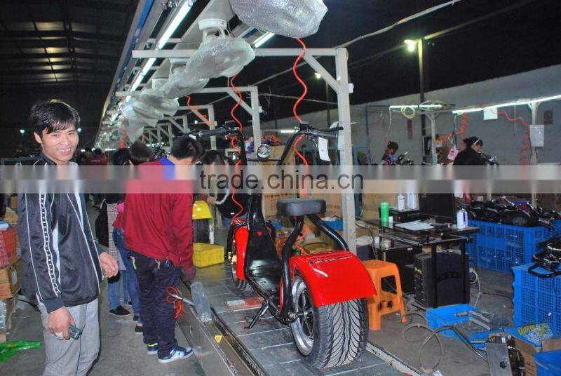 2016 Popular City Scooter 800W Two Wheels Electric Citycoco Self Balancing Motorcycle With Hydraulic Brake Function