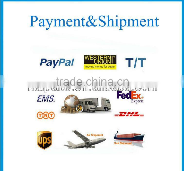 newest powerful adult self balancing electric unicycle, two wheel smart balance