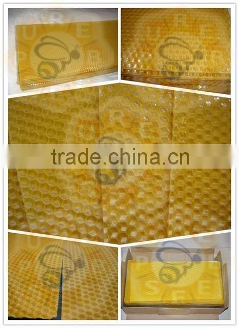 Purebees apis mellifera beeswax plastic foundation sheet