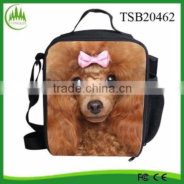 Multicolor Travel Outdoor Cooler Bag Waterproof Lunch Bag Tote Box Container Cooler Thermal bag