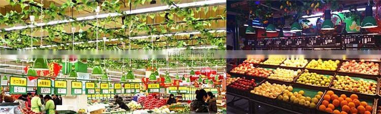 CE Rohs LED Fresh Meat Vegetable Fruit Lights 30W Hanging Lighting for Food