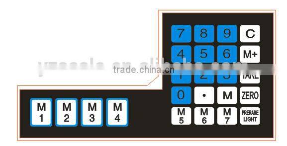 digital scale with printer