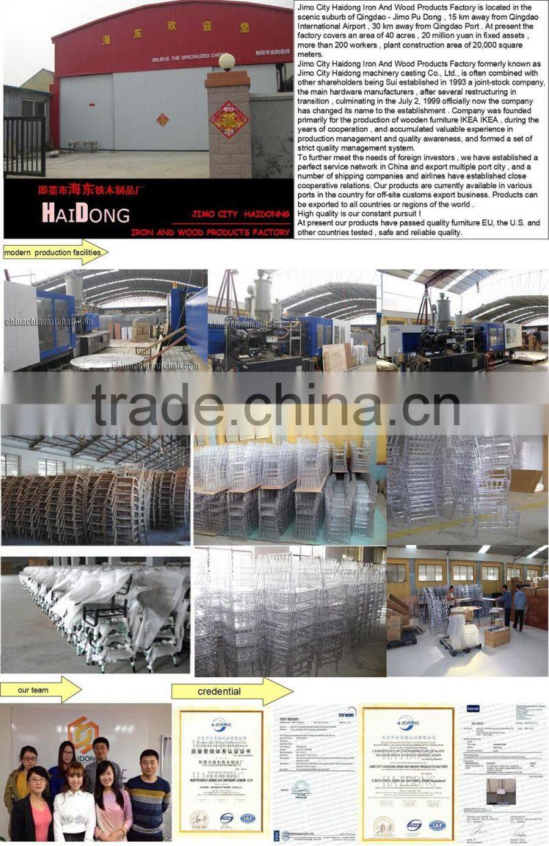 Resin Clear Elizabeth Chair